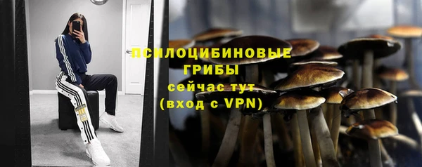 гашик Абинск