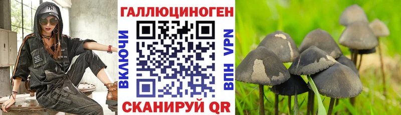 продажа наркотиков  Верхоянск  Псилоцибиновые грибы Cubensis 